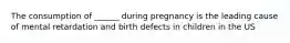 The consumption of ______ during pregnancy is the leading cause of mental retardation and birth defects in children in the US