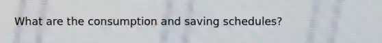 What are the consumption and saving schedules?