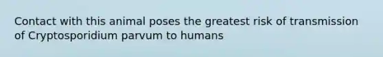 Contact with this animal poses the greatest risk of transmission of Cryptosporidium parvum to humans