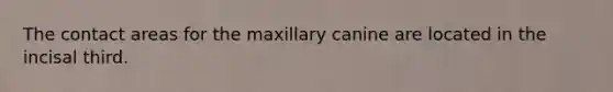 The contact areas for the maxillary canine are located in the incisal third.