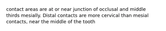 contact areas are at or near junction of occlusal and middle thirds mesially. Distal contacts are more cervical than mesial contacts, near the middle of the tooth