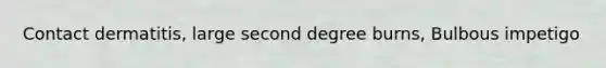 Contact dermatitis, large second degree burns, Bulbous impetigo