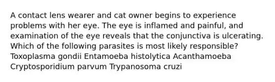 A contact lens wearer and cat owner begins to experience problems with her eye. The eye is inflamed and painful, and examination of the eye reveals that the conjunctiva is ulcerating. Which of the following parasites is most likely responsible? Toxoplasma gondii Entamoeba histolytica Acanthamoeba Cryptosporidium parvum Trypanosoma cruzi