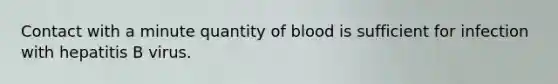 Contact with a minute quantity of blood is sufficient for infection with hepatitis B virus.