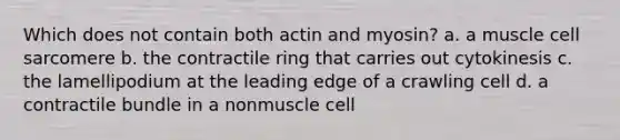 Which does not contain both actin and myosin? a. a muscle cell sarcomere b. the contractile ring that carries out cytokinesis c. the lamellipodium at the leading edge of a crawling cell d. a contractile bundle in a nonmuscle cell