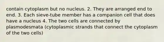 contain cytoplasm but no nucleus. 2. They are arranged end to end. 3. Each sieve-tube member has a companion cell that does have a nucleus 4. The two cells are connected by plasmodesmata (cytoplasmic strands that connect the cytoplasm of the two cells)