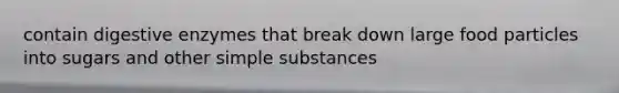 contain digestive enzymes that break down large food particles into sugars and other simple substances