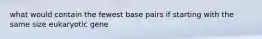 what would contain the fewest base pairs if starting with the same size eukaryotic gene