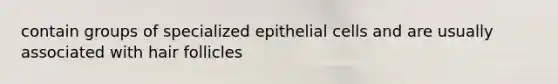 contain groups of specialized epithelial cells and are usually associated with hair follicles