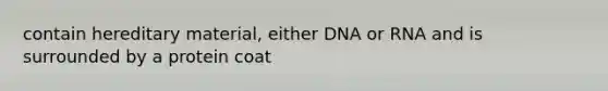 contain hereditary material, either DNA or RNA and is surrounded by a protein coat