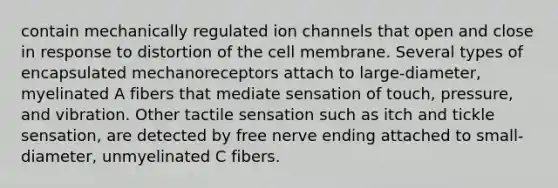 contain mechanically regulated ion channels that open and close in response to distortion of the cell membrane. Several types of encapsulated mechanoreceptors attach to large-diameter, myelinated A fibers that mediate sensation of touch, pressure, and vibration. Other tactile sensation such as itch and tickle sensation, are detected by free nerve ending attached to small-diameter, unmyelinated C fibers.