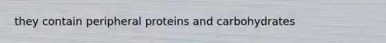 they contain peripheral proteins and carbohydrates