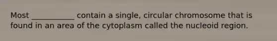 Most ___________ contain a single, circular chromosome that is found in an area of the cytoplasm called the nucleoid region.