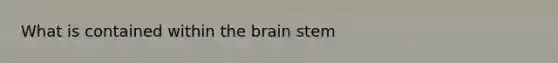 What is contained within the brain stem