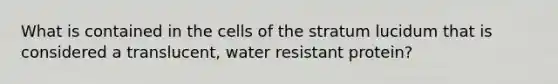 What is contained in the cells of the stratum lucidum that is considered a translucent, water resistant protein?