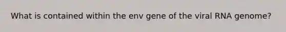 What is contained within the env gene of the viral RNA genome?