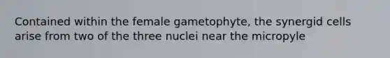 Contained within the female gametophyte, the synergid cells arise from two of the three nuclei near the micropyle