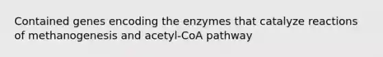 Contained genes encoding the enzymes that catalyze reactions of methanogenesis and acetyl-CoA pathway