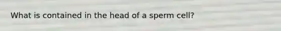 What is contained in the head of a sperm cell?