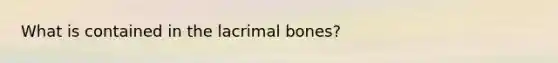 What is contained in the lacrimal bones?