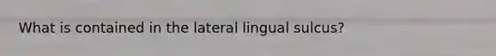 What is contained in the lateral lingual sulcus?