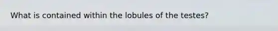 What is contained within the lobules of the testes?