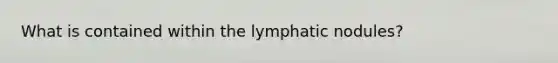 What is contained within the lymphatic nodules?