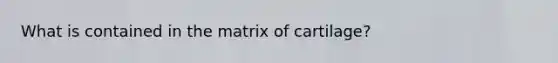 What is contained in the matrix of cartilage?