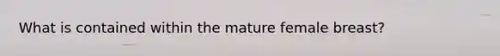 What is contained within the mature female breast?