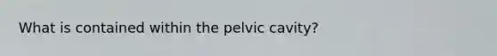 What is contained within the pelvic cavity?