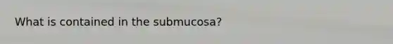 What is contained in the submucosa?