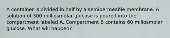 A container is divided in half by a semipermeable membrane. A solution of 300 milliosmolar glucose is poured into the compartment labeled A. Compartment B contains 60 miliosmolar glucose. What will happen?