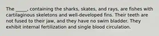 The _____, containing the sharks, skates, and rays, are fishes with cartilaginous skeletons and well-developed fins. Their teeth are not fused to their jaw, and they have no swim bladder. They exhibit internal fertilization and single blood circulation.