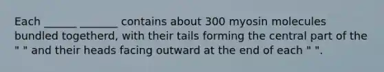 Each ______ _______ contains about 300 myosin molecules bundled togetherd, with their tails forming the central part of the " " and their heads facing outward at the end of each " ".