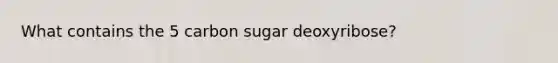 What contains the 5 carbon sugar deoxyribose?