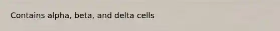 Contains alpha, beta, and delta cells