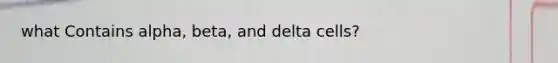 what Contains alpha, beta, and delta cells?