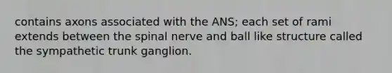 contains axons associated with the ANS; each set of rami extends between the spinal nerve and ball like structure called the sympathetic trunk ganglion.