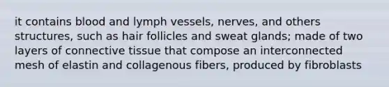 it contains blood and lymph vessels, nerves, and others structures, such as hair follicles and sweat glands; made of two layers of connective tissue that compose an interconnected mesh of elastin and collagenous fibers, produced by fibroblasts