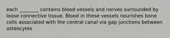 each ________ contains blood vessels and nerves surrounded by loose connective tissue. Blood in these vessels nourishes bone cells associated with the central canal via gap junctions between osteocytes