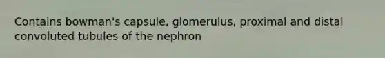 Contains bowman's capsule, glomerulus, proximal and distal convoluted tubules of the nephron