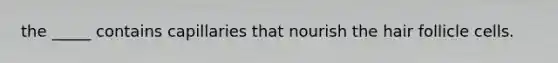 the _____ contains capillaries that nourish the hair follicle cells.