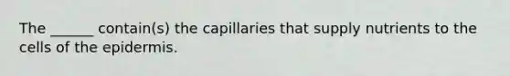 The ______ contain(s) the capillaries that supply nutrients to the cells of the epidermis.