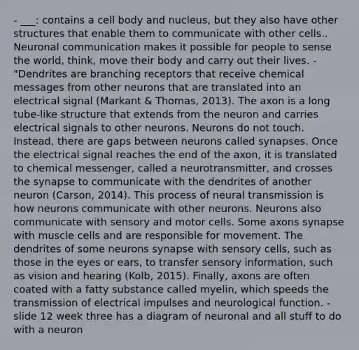 - ___: contains a cell body and nucleus, but they also have other structures that enable them to communicate with other cells.. Neuronal communication makes it possible for people to sense the world, think, move their body and carry out their lives. - "Dendrites are branching receptors that receive chemical messages from other neurons that are translated into an electrical signal (Markant & Thomas, 2013). The axon is a long tube-like structure that extends from the neuron and carries electrical signals to other neurons. Neurons do not touch. Instead, there are gaps between neurons called synapses. Once the electrical signal reaches the end of the axon, it is translated to chemical messenger, called a neurotransmitter, and crosses the synapse to communicate with the dendrites of another neuron (Carson, 2014). This process of neural transmission is how neurons communicate with other neurons. Neurons also communicate with sensory and motor cells. Some axons synapse with muscle cells and are responsible for movement. The dendrites of some neurons synapse with sensory cells, such as those in the eyes or ears, to transfer sensory information, such as vision and hearing (Kolb, 2015). Finally, axons are often coated with a fatty substance called myelin, which speeds the transmission of electrical impulses and neurological function. - slide 12 week three has a diagram of neuronal and all stuff to do with a neuron