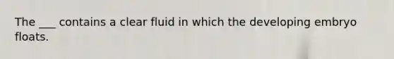 The ___ contains a clear fluid in which the developing embryo floats.