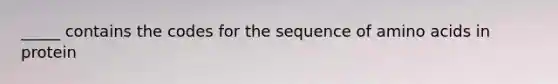 _____ contains the codes for the sequence of amino acids in protein