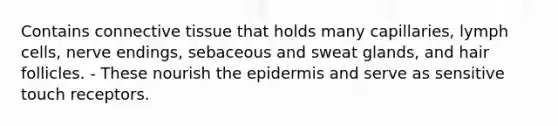 Contains connective tissue that holds many capillaries, lymph cells, nerve endings, sebaceous and sweat glands, and hair follicles. - These nourish the epidermis and serve as sensitive touch receptors.