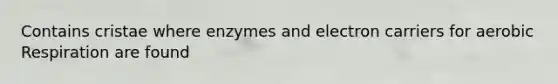 Contains cristae where enzymes and electron carriers for aerobic Respiration are found