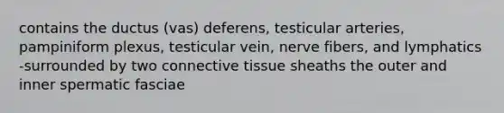 contains the ductus (vas) deferens, testicular arteries, pampiniform plexus, testicular vein, nerve fibers, and lymphatics -surrounded by two connective tissue sheaths the outer and inner spermatic fasciae