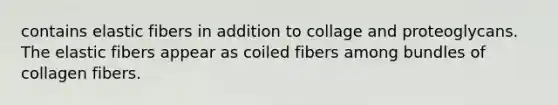 contains elastic fibers in addition to collage and proteoglycans. The elastic fibers appear as coiled fibers among bundles of collagen fibers.